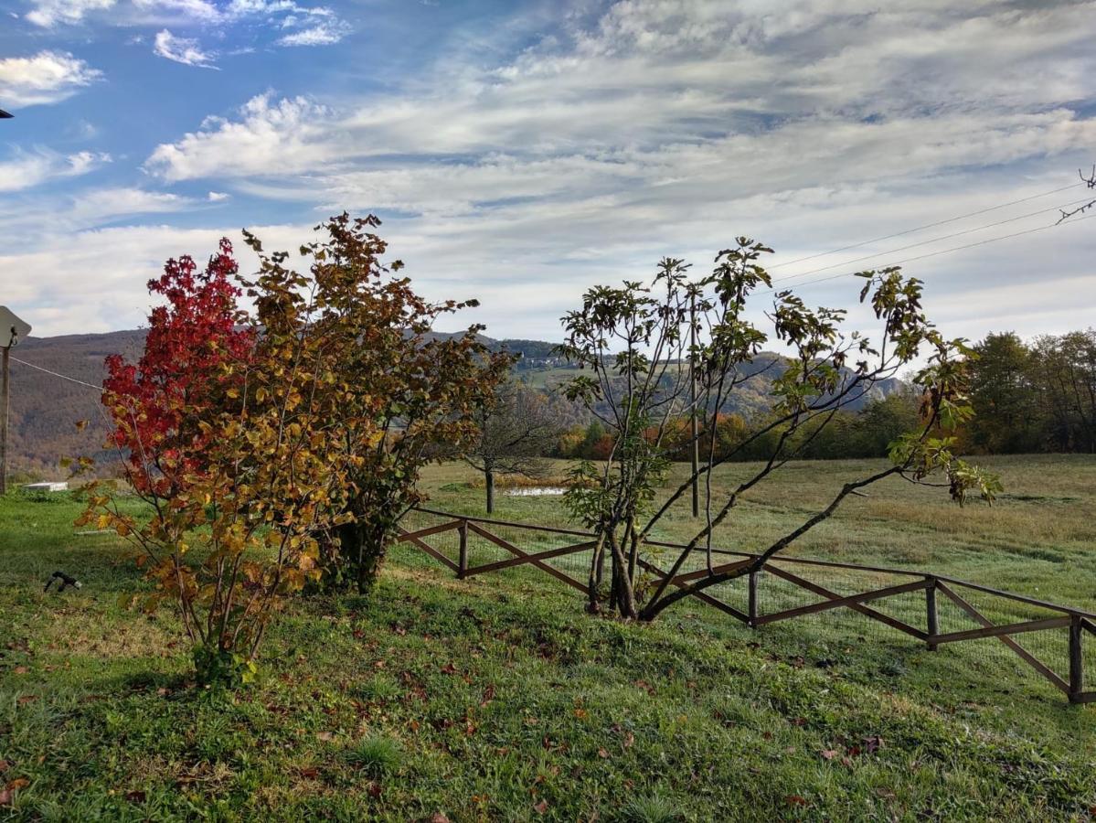"Borgo Gerbina" Agriturismo & Azienda Agricola Sozzi Экстерьер фото